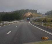 Ein LKW auf der Autobahn E6 nach Norwegen
