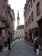 Sehr viele Touristen in Tallinn, viele davon kommen aus Deutschland.